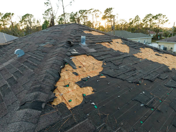 Best Gutter Installation and Repair  in Boonton, NJ